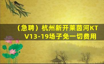 梧州KTV招聘